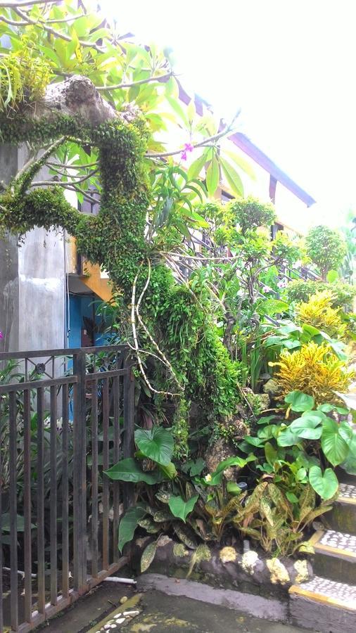Betesda Guest House Canggu Eksteriør billede